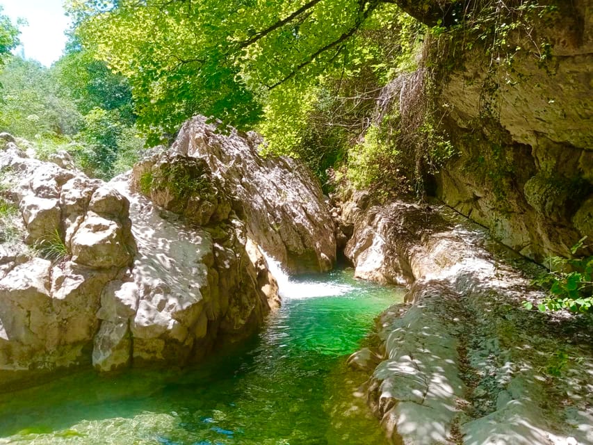 Mountain Train Experience: Hike & Mystic Forest (From Nice) - A historic train line south of Nice: where the day starts to feel different