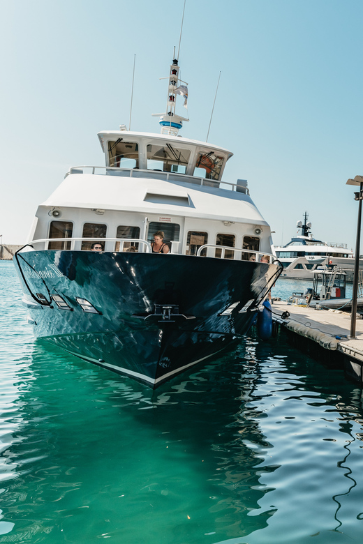 Nice: 1-Hour Sightseeing Cruise to Villefranche Bay - Why a 1-hour Nice to Villefranche cruise feels like the sweet spot
