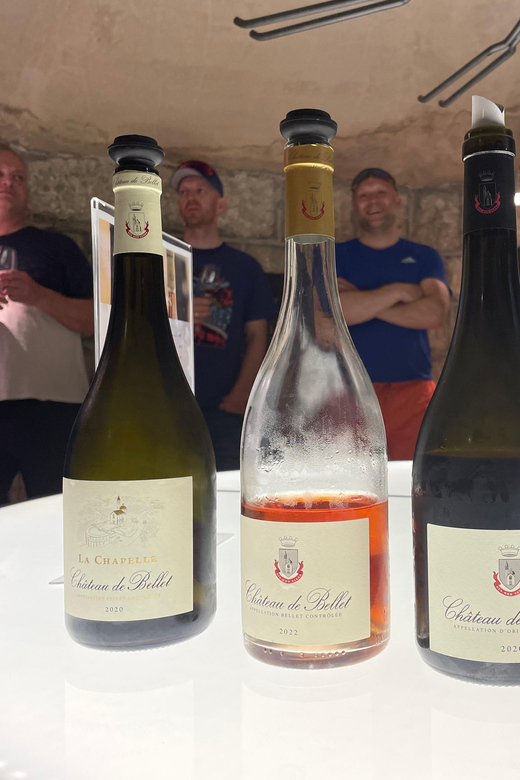 Nice: Bellet Vineyards E-Bike Tour with Wine Tasting - Key highlights you will care about