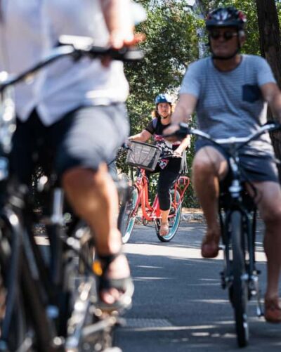 Bellet Vineyards E-Bike Tour with Wine Tasting