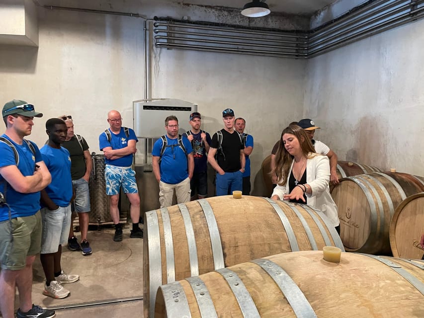 Nice: Bellet Vineyards E-Bike Tour with Wine Tasting - Bellet estate visit: cellar tour and terroir talk