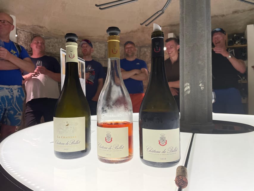 Nice: Bellet Vineyards E-Bike Tour with Wine Tasting - Who should book this Bellet e-bike wine tasting?