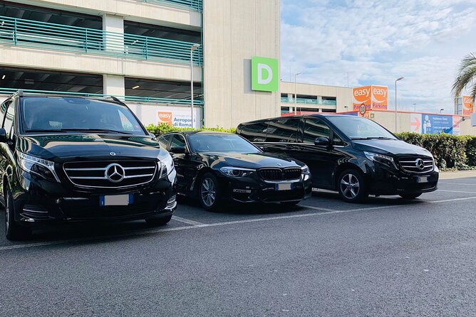 Nice Côte d'Azur Airport (NCE) to Port Hercule - Arrival Private Transfer - Key things that make this transfer work