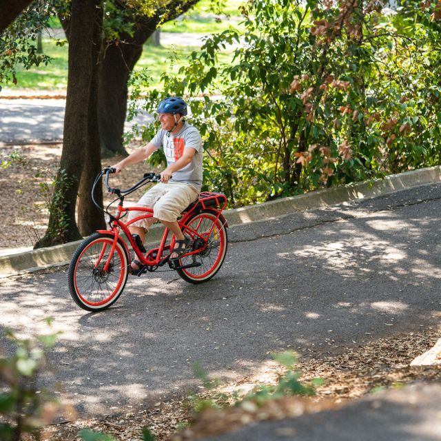 Nice: E-Bike City Highlights Tour - Quick City Texture: Quai des États-Unis, Saleya, and #ILoveNICE