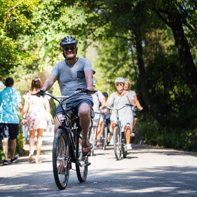 Nice: E-Bike City Highlights Tour - Castle Hill: The Long View Pause (About 50 Minutes)