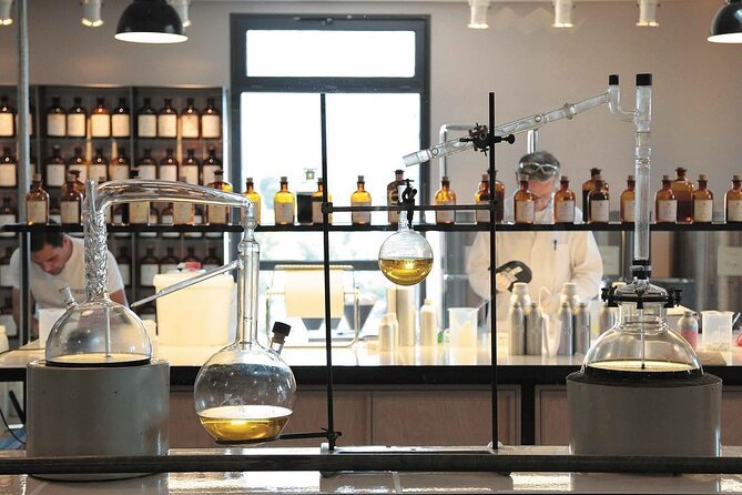 Nice : Excursion at Eze Village and Fragonard Perfume factory - Who should book this Nice to Èze and Fragonard 4x4 outing?