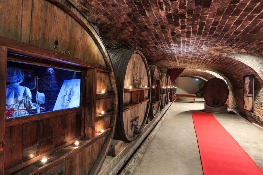 Nice: Full-Day Côtes de Provence Wine Tour - Key points at a glance