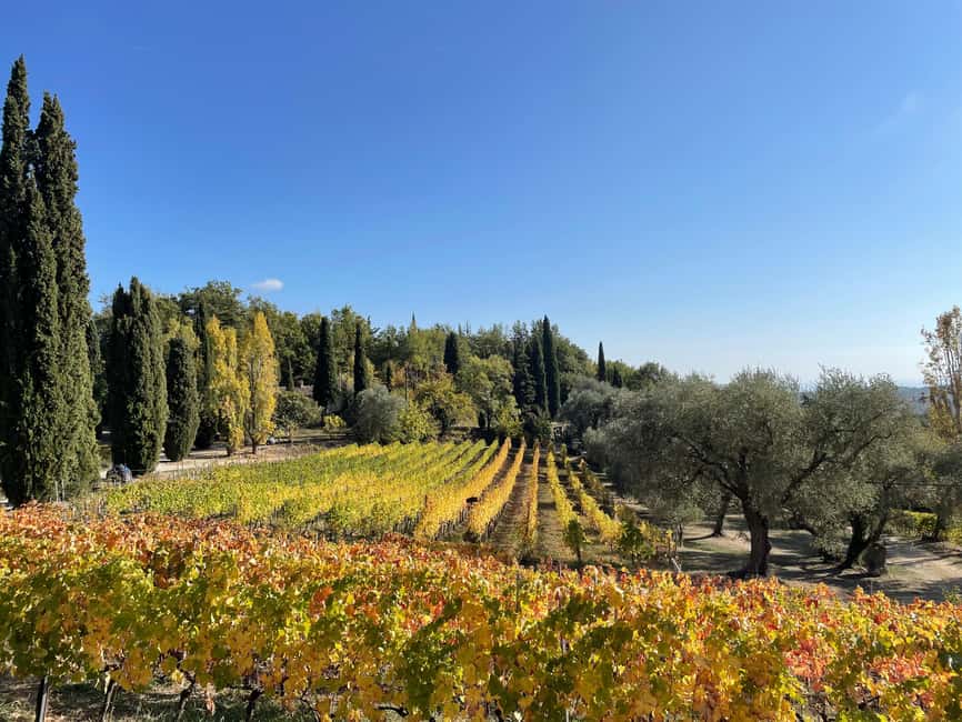 Nice: Full-Day Côtes de Provence Wine Tour - From Nice to Provence: the comfort-first ride and pacing