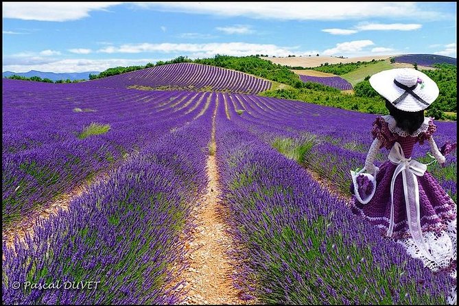 Nice: Gorges of Verdon and Fields of Lavender Tour - From Nice pickup to Verdon roads: what the 9-hour day feels like