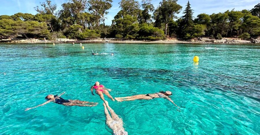 Nice: Lerins Islands Boat Tour with Snorkeling - Key things that make this tour worth your time