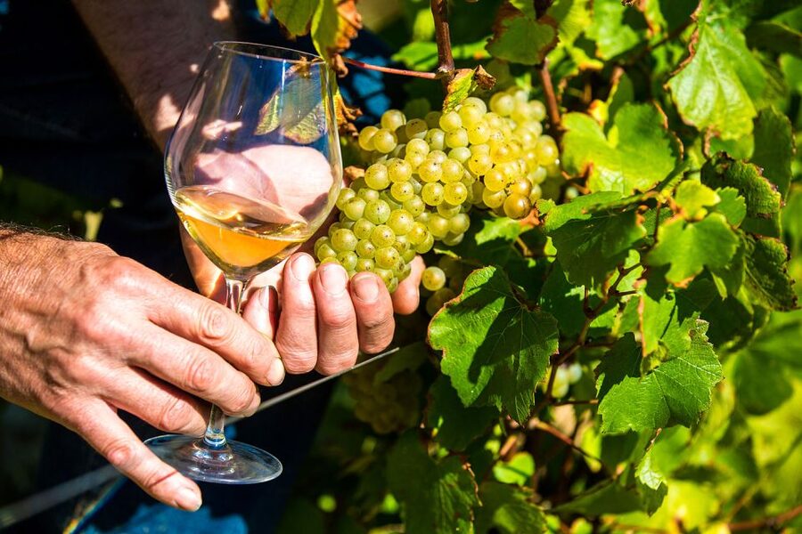 Nice: Provence Village Tour with Wine and Produce Tasting - How the tour starts: Nice pickup and a calm ride to Biot glass