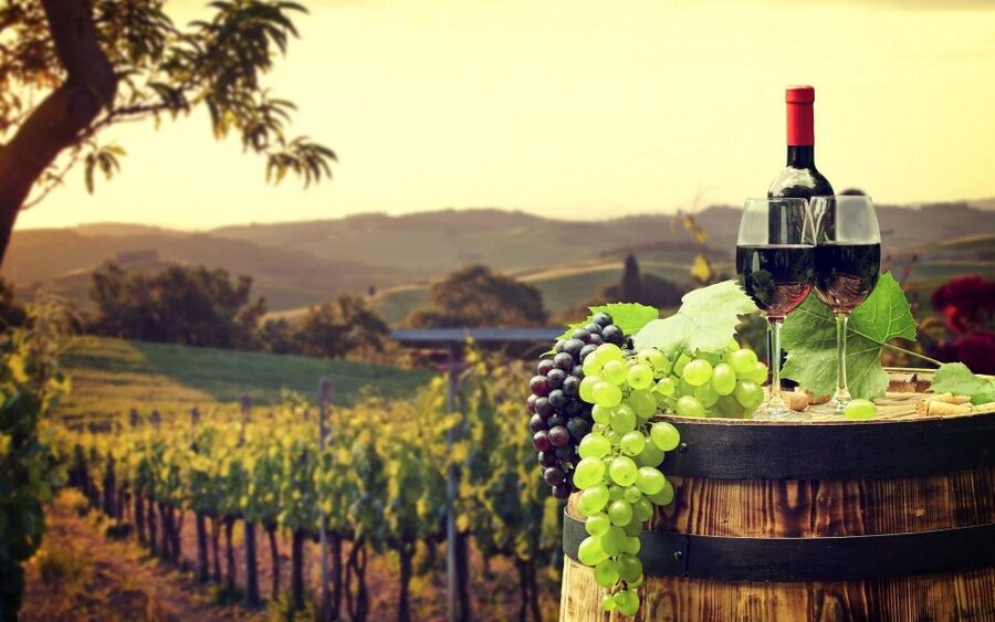 Nice: Provence Village Tour with Wine and Produce Tasting - Gourdon’s medieval viewpoint: castle photos and André Lenotre’s garden