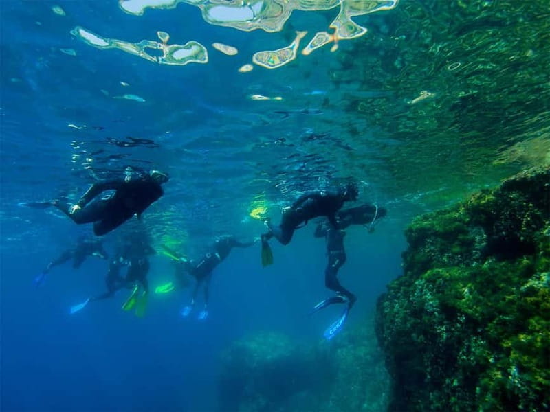 Nice: Snorkeling Speedboat Tour in Villefranche Bay - Key Points You Should Know Before You Go