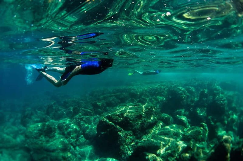 Nice: Snorkeling Speedboat Tour in Villefranche Bay - The Villefranche Bay Snorkel, Why It Works So Well
