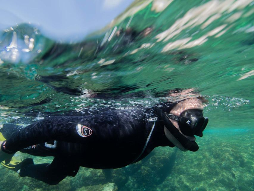 Nice: Snorkeling Speedboat Tour in Villefranche Bay - Safety Briefing You Can Actually Use