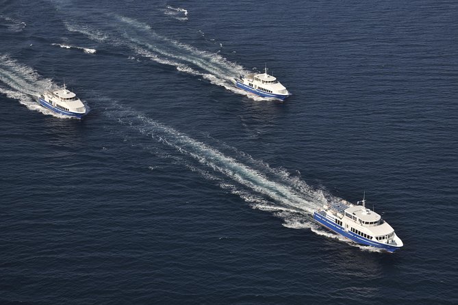 Nice to St Tropez Ferry Ticket and Cruise - Price and value: is $125.13 for a ferry day trip a fair deal?