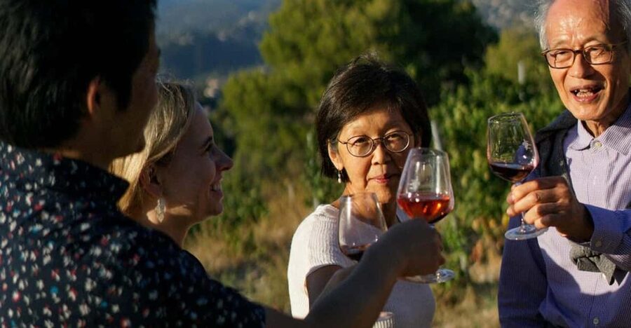Nice: Vineyard Tour with Wine Tasting - Château de Bellet: Nice’s wine hillside above the sea