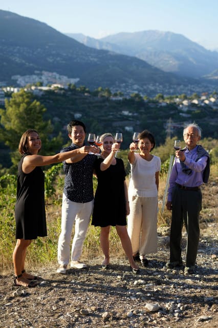 Nice: Vineyard Tour with Wine Tasting - Who should book this Bellet tour, and who might skip it