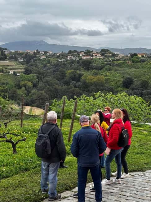 Nice : Wine Tasting at a Historic Château in a Land Rover ! - Cheese and charcuterie pairings: making the tasting feel like a meal