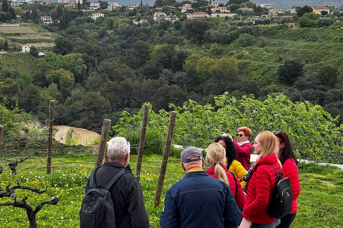 Nice Wine tasting in the hinterland in Defender - Price and value: is $78.09 a fair deal?