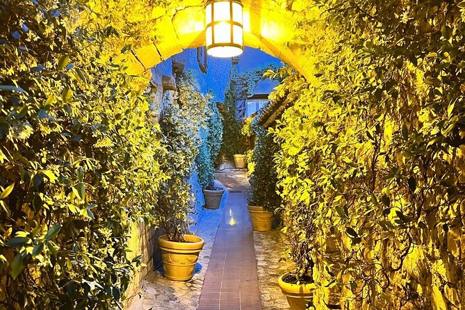 Night Tour of Eze & St Paul de Vence - La Chèvre d’Or drink stop: the Riviera view you pay for