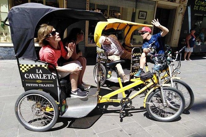 Original Nice city tour ( pedicab-vélo taxi) - When this tour is the smartest move in your trip