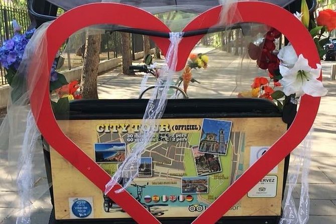 Original Nice city tour ( pedicab-vélo taxi) - The realistic drawbacks to plan around