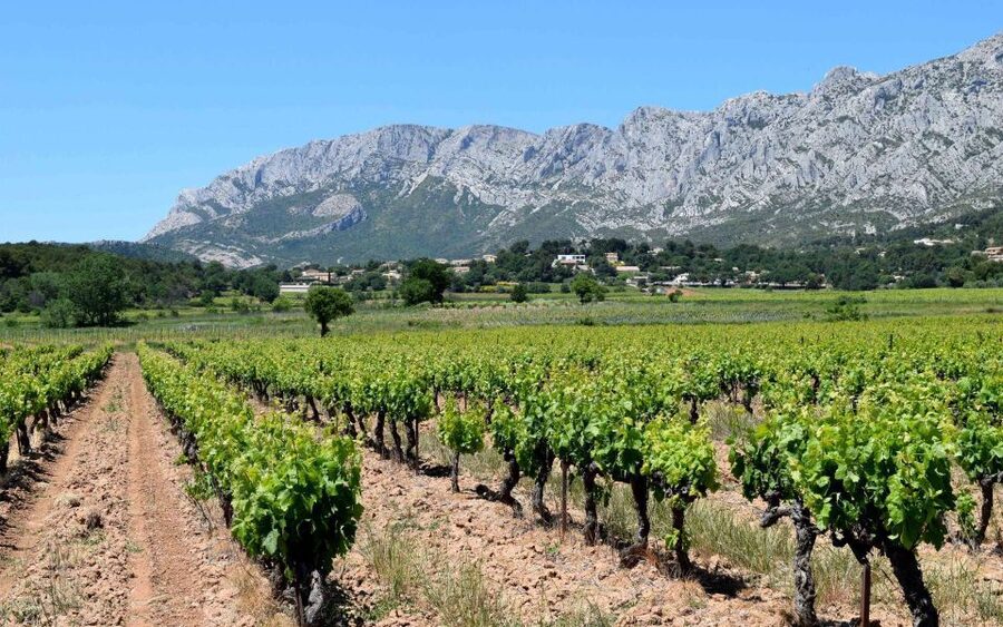 Private Day Trip to Provence and Lavender Fields - Before You Go: Practical Tips That Actually Help