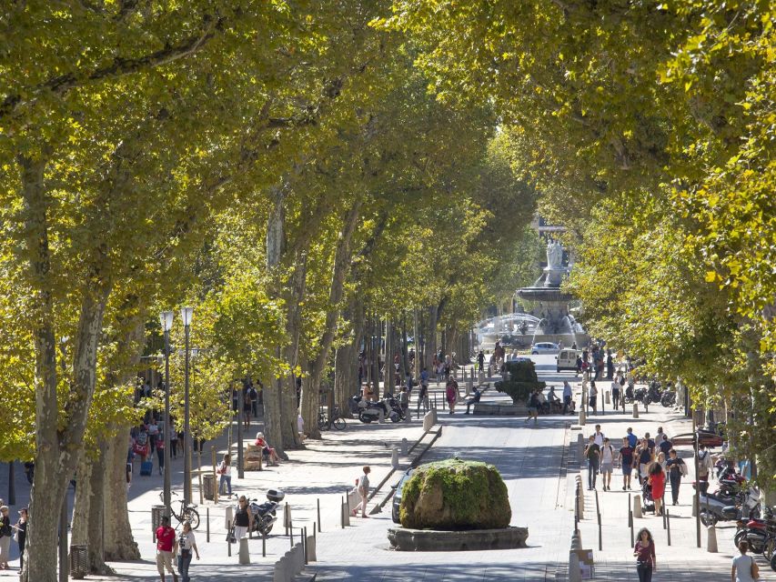 Private Day Trip to Provence and Lavender Fields - Provence Vineyard Roads and a Winery Stop Option