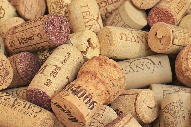 Private Day Trip: Wine Tasting Tour with Pinic Lunch From Nice - What’s Included, What’s Not, and How to Budget Like a Local