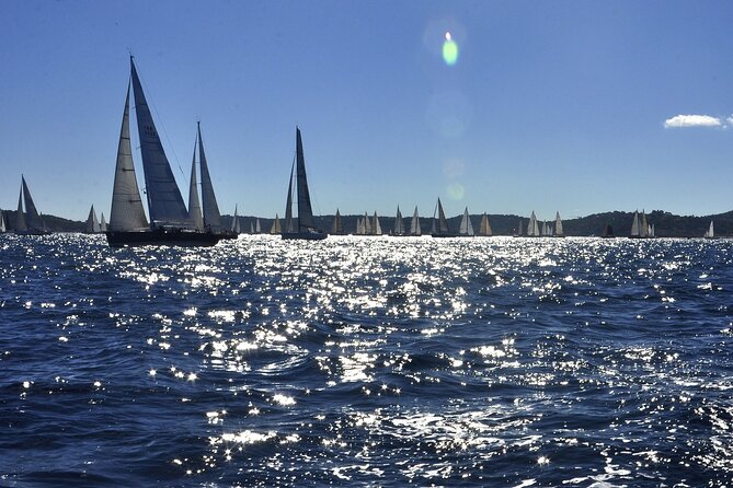 Private Direct Transfer from Nice to Saint Tropez - Choosing the right vehicle for your group and luggage