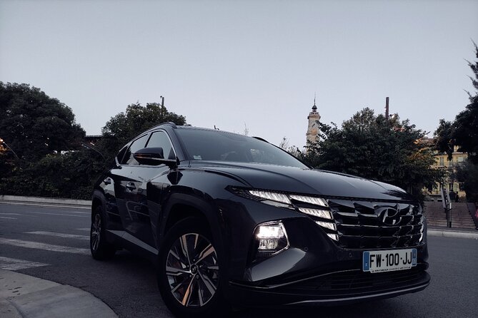 Private excursion to the French Riviera with car and driver - Saint-Tropez: Citadel views, Pampelonne time, and pick-your-own fun
