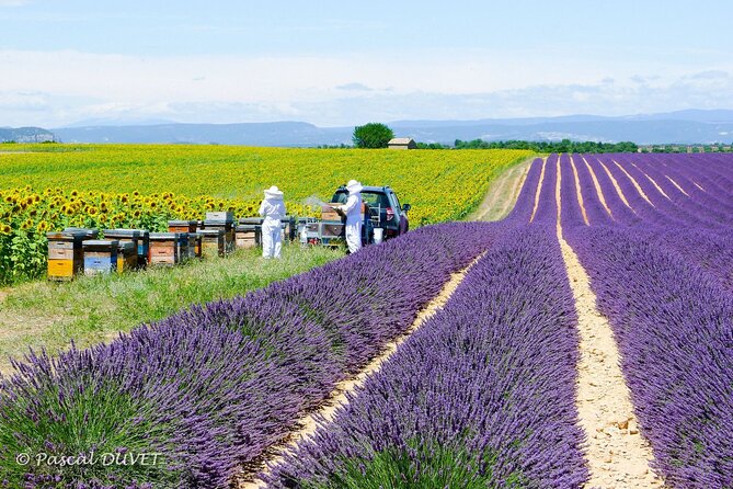 Private Tour of Gorges of Verdon and Fields of Lavender in Nice - Stop 1: Castellane and the Verdon Canyon turquoise viewpoint