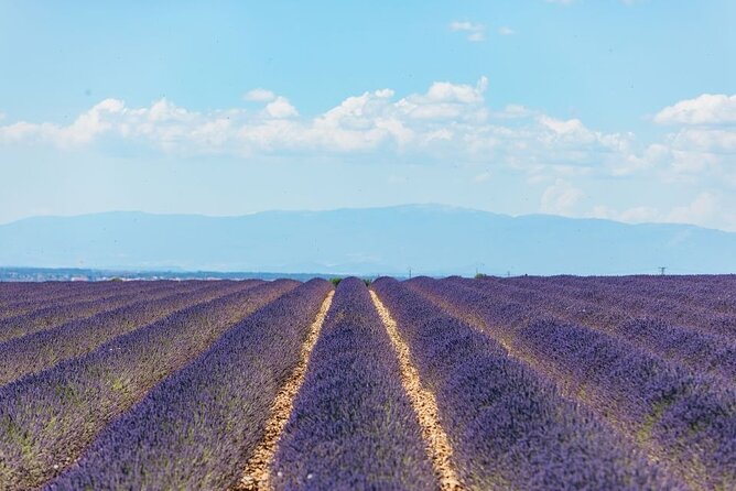 Private Tour of Gorges of Verdon and Fields of Lavender in Nice - How the 8-hour day usually feels, with a 9:00 am start