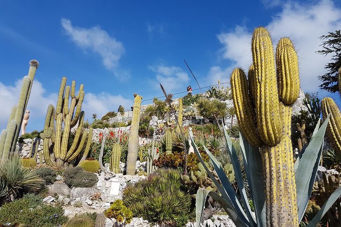 Private Tour of Nice, Monaco & Eze with a local guide - The corniches drive and picture stops: why the route matters