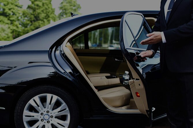 Private Transfer from Airport Nice to Monaco/ Monte Carlo - Nice Airport to Monte Carlo, Without the Stress