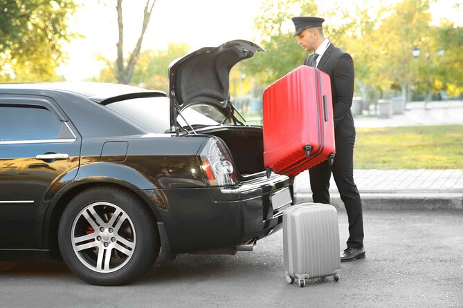 Private Transfer from Nice hotels to Port Hercule - The driver meet-up: name sign, English, and luggage help