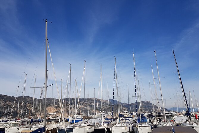 Private Transfer Nice Airport to Beaulieu-sur-Mer or Cap-Ferrat - Who this transfer is best for