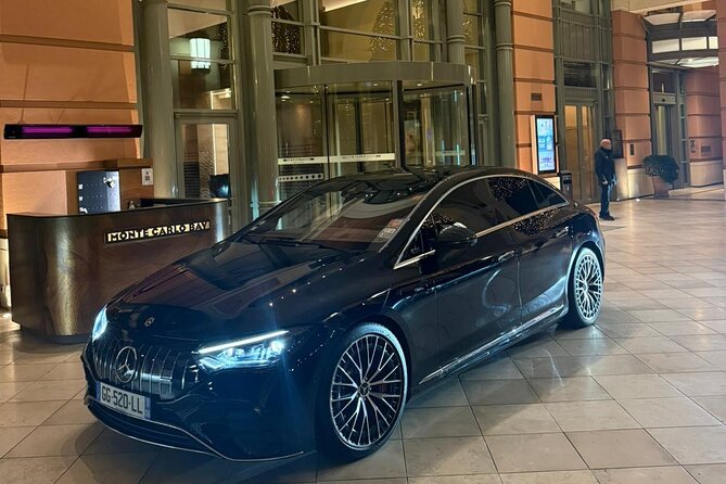 Private Transfer to Nice Airport from Menton, Monaco & Cannes - Airport drop-off: using the welcome sign and handling the final steps