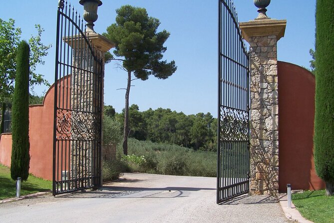 Private Vineyard Tour of Provence from Nice - Chapelle Sainte Roseline: pilgrimage, art, and a 1329 timeline