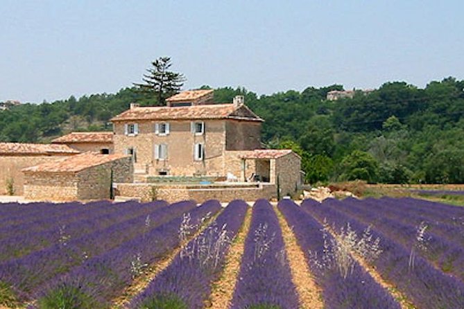 Provence and Lavender - private & Guided Full Day Tour - Key highlights that make this tour worth it