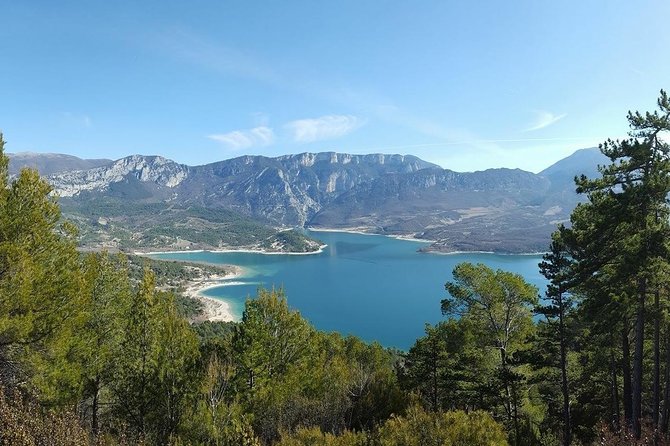 Provence and Lavender - private & Guided Full Day Tour - Private groups, comfort, and why the van matters