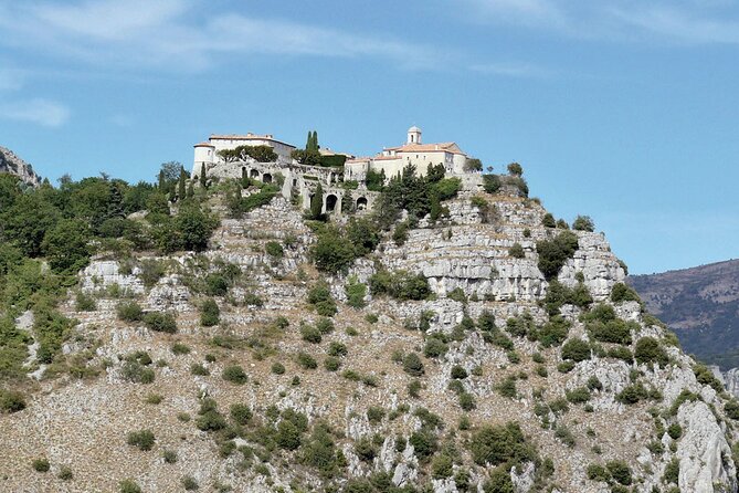 Provence and Tradition - Private Guided Tour - Moulin d’Opio: olive oil culture you can see up close