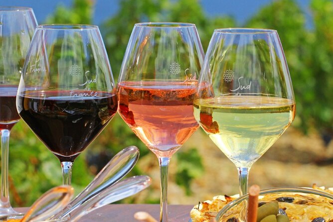 Provence Organic Wine Tasting Half Day Tour from Nice - Key Things That Make This Tour Worth Your Time