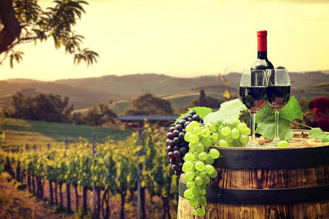Provence Organic Wine Tasting Half Day Tour from Nice - Pickup and Timing: This Is Where You Should Pay Attention