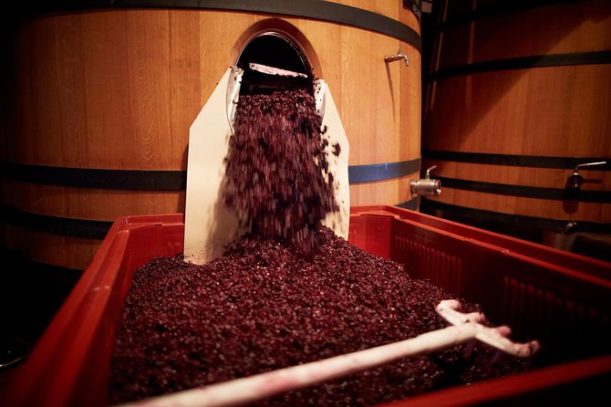 Provence Private Full Day Wine Tour with Wine Tasting - How a private Provence wine day works from Nice