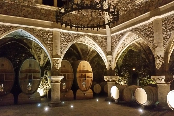 Provence Private Full Day Wine Tour with Wine Tasting - Vineyard walking and tastings, with grape education that sticks