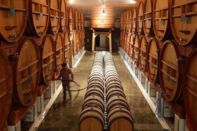 Provence Private Full Day Wine Tour with Wine Tasting - Les Arcs sur Argens and the Côtes de Provence grape world