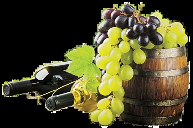 provence wine tasting - Nice To Côtes de Provence: How the Private Day Works