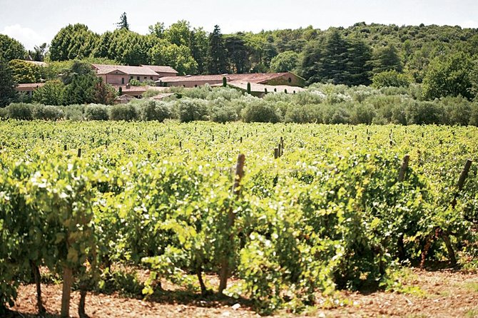 provence wine tasting - Château Sainte Roseline: Chapel Cloister Visits and a Côtes de Provence Tasting